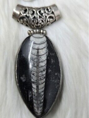 Large Orthoceras Fossil Pendant Sterling Silver Filigree